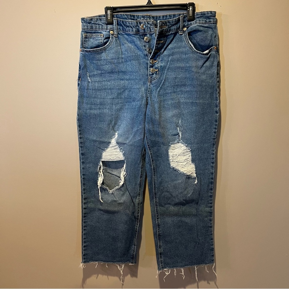 Wild Fable Distressed Denim Ankle Jeans, Size 16